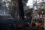 Grecko trpi lesnymi poziarmi kvoli horucavam