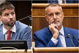 Zhoda medzi Michalom Simeckom a Richardom Rasim Pomoze PS Hlasu presadit 5 rocne volebne obdobie