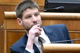 Moja matka moze skoncit pred sudom obava sa Michal Simecka Mysli si ze sa jej mohli naburat do uctu