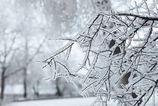 Nedela prinese snezenie silny vietor a mrazive teploty