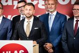 hlas sa distancuje od zrusenia volieb postou tvrdi ze v koalicii na tom neexistuje dohoda