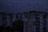 Rinske utoky odrezali od elektriny viac ako 200 tisic odberatelov v ukrajinskej Cernihivskej oblasti