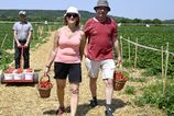 Novy tyzden prinesie velmi teple pocasie najma na juhu krajiny