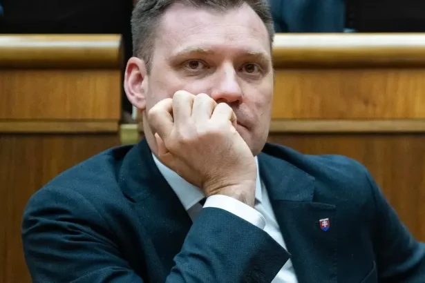 Envirorezort odmieta tvrdenia SNS: Žiadny lukratívny majetok nepredávame