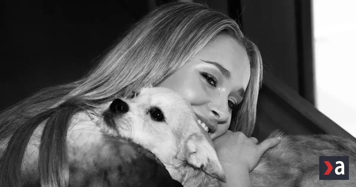 Herečka Hayden Panettiereová podľahla predávkovaniu drogami