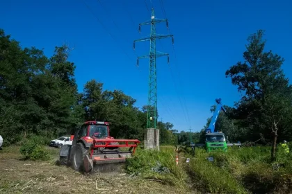Najvyšší súd zamietol dovolanie štátu v kauze Pečnianskeho lesa, Lesy SR zvažujú postup