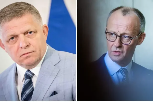 Nemci žasnú nad Ficovou absurdnou úvahou. Dráždiť Merza je zbytočné