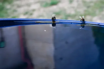 Po studenej noci príde príjemne teplý deň