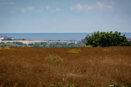 Na západnom Slovensku sa v nedeľu zatiahne a miestami zaprší, na horách hrozí víchrica