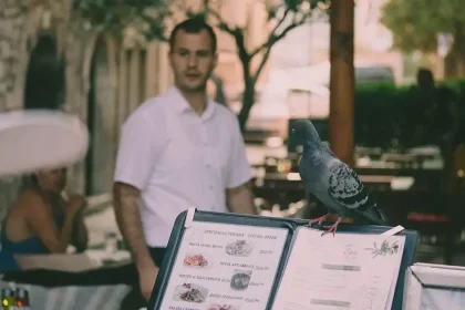 Reštaurácie v Chorvátsku budú musieť od októbra uvádzať dve ceny
